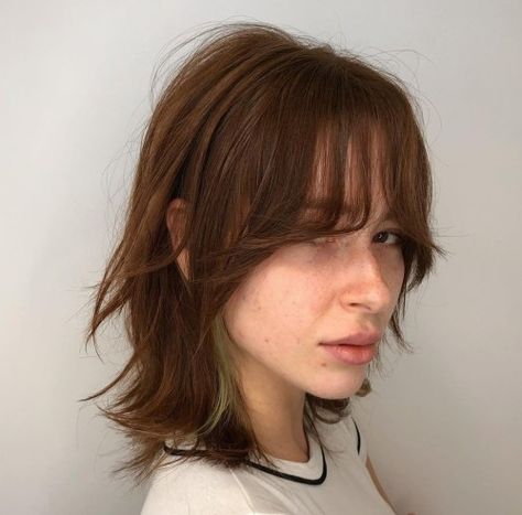 Edgy Retro Wolf Hair with See Through Bangs Shag With Straight Bangs, Shag Haircut No Bangs Straight Hair, Shag No Bangs Straight Hair, Shag Light Bangs, Dark Brown Shag, Long Shaggy Bob, Blonde Bob Cuts, Face Framing Bangs, Textured Curly Hair