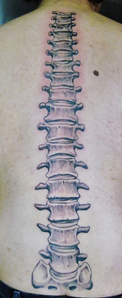 A Fully Thoracic Spine Without a Sacrum and Tailbone - f*ck Anatomy! Human Bone Tattoo, Bone Spine Tattoo, Spine Drawing Easy, Spine Drawing Sketches, Spine Sketch, Spine Bone Tattoo, Vertebrae Tattoo, Vertebrae Art, Spine Drawing