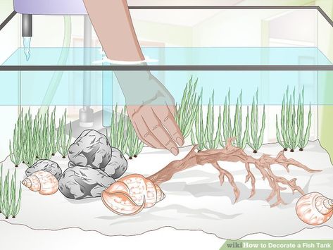 How to Decorate a Fish Tank: 15 Steps (with Pictures) - wikiHow Simple Aquarium Ideas, Fish Tank Ideas Decorations, Slate Rock, Fish Tank Decorations, How To Decorate, Fish Tank, To Look, Fish, Animals