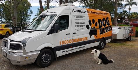 Van Signage, Dog Transport, Pet Taxi, Moving Van, Pet Transport, Australian Capital Territory, Road Transport, Boxer Puppies, Relocation Services