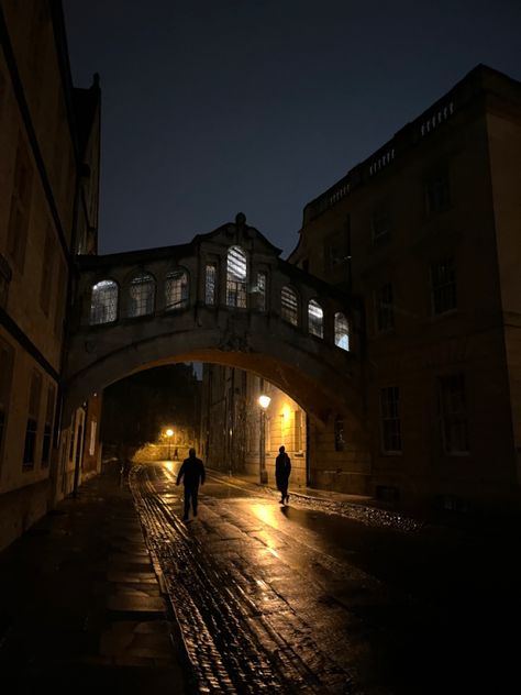 Oxford At Night, Pretty Universities, Mistake Aesthetic, Babel Aesthetic, Oxford Aesthetic, Oxford Library, Dream University, Oxford College, Wild Photography