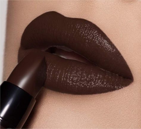 Dark Brown Lipstick, Pretty Lipstick Colors, Snow White Makeup, Chocolate Lipstick, Maroon Lipstick, Lipstick For Dark Skin, Learn Makeup, Casual Makeup, Lipstick Kit