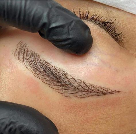 Microblading Studio Ideas, Makeup Artist Bag, Mircoblading Eyebrows, Phi Brows, Brow Studio, Waxing Services, Celebrity Plastic Surgery, Permanent Makeup Eyebrows, Basic Skin Care Routine