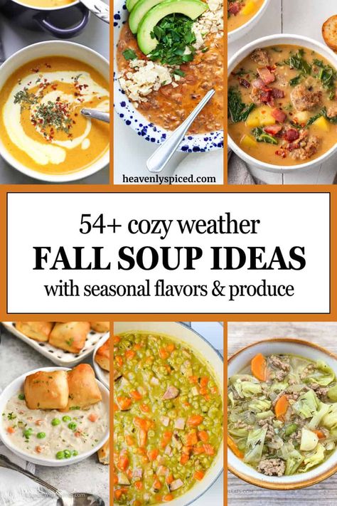 Fall soup ideas for every dietary preference and budget. Whether you're craving something creamy, light, hearty, brothy, vegan, veggie filled, or meaty, this list has you covered! Healthy weeknight recipes the whole family will love on a cold fall day. Fall Soup And Sandwich Ideas, Soup Ideas For Dinner, Fall Soup Ideas, Brothy Soup Recipes, Fall Board, Soup Ideas, Seasonal Vegetables, Fall Soup, Weeknight Recipes