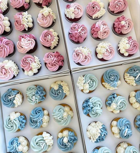 Gender Reveal Cupcakes Ideas, Gender Reveal Treats Sweets, Cupcake Gender Reveal Ideas, Gender Cupcakes, Gender Reveal Cupcake Ideas, Pink Blue Cupcakes, Cupcake Gender Reveal, Pink And Blue Cupcakes, Gender Reveal Treats