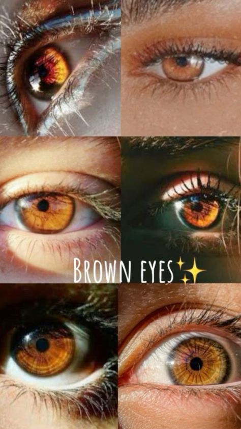 #bueatiful #eyes Honey Eyes Aesthetic, Types Of Brown Eyes, Honey Brown Eyes Aesthetic, Light Brown Eyes Aesthetic, Cognac Eyes, Brown Eyes In Sunlight, Brown Eyes In The Sun, Amber Brown Eyes, Honey Eyes Color