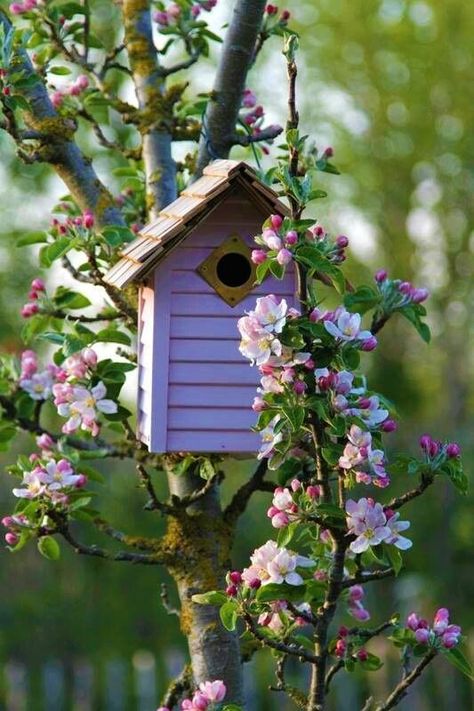 Small Garden Landscaping Ideas, Small Garden Landscaping, Small Garden Design Ideas, Bird Feeder Craft, Beautiful Birdhouses, Spring Birds, English Cottage Garden, Home Garden Design, Pink Garden