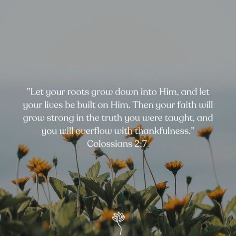 Being rooted in God is the SAFEST place you could ever be. He is UNSHAKABLE, INFALLIBLE, INDESTRUCTIBLE. The never failing God is the strongest root to grow in. Deeply Rooted Quotes, Rooted In Christ, Relief Society Activities, Relief Society, Activity Ideas, Yoga Class, Yoga Inspiration, God Is, Self Development