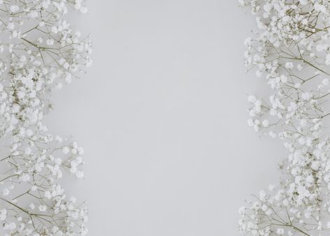 Gypsophila on gray background with copy space in the center Free Photo Gypsophila Background, White Flower Background, Wedding Invitation Website, Gypsophila Wedding, Pink And White Background, Wedding Invitation Background, White And Pink Roses, Flowers Frame, Invitation Background