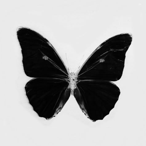 Black And White Butterfly, Piskel Art, Fotografi Vintage, Arte Inspo, Widget Icon, Black And White Posters, Black And White Aesthetic, Ios Icon, Style Noir