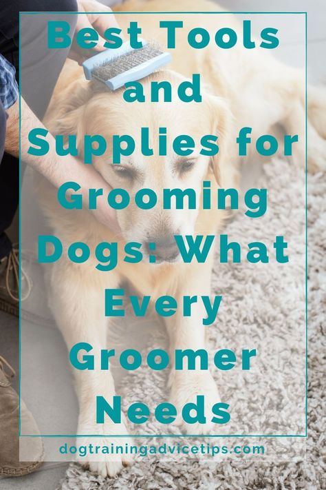 Best Dog Grooming Tools, Professional Dog Grooming Supplies, Dog Hair Vacuum, Content Examples, Grooming Dogs, Dog Grooming Tools, Dog Grooming Styles, Dog Grooming Shop, Grooming Style