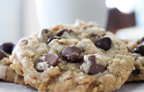 Peanut Butter Oatmeal Chocolate Chip Coconut Cookies – The Salted Cookie Chocolate Chip Coconut Cookies, Pb Oatmeal, Chocolate Oat Cookies, Peanut Butter Oatmeal Chocolate Chip, Oatmeal Coconut Cookies, Coconut Chocolate Chip Cookies, Coconut Peanut Butter, Coconut Chocolate, Peanut Butter Chocolate Chip Cookies