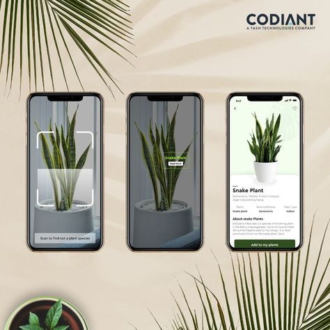 Design to a smart instant plant identifier app is out. Identify, explore and share over 100,000 types of plants. Point your camera on the plant and scan to find out the species. Like the design? Yay/Nay? Comment below. If you need more info about AR Plant App, you can mail us at info@codiant.com Scan Design, Scan App, Plant App, Mobile App Design Inspiration, Sailing Adventures, App Design Inspiration, City Illustration, App Ui Design, Mobile App Design