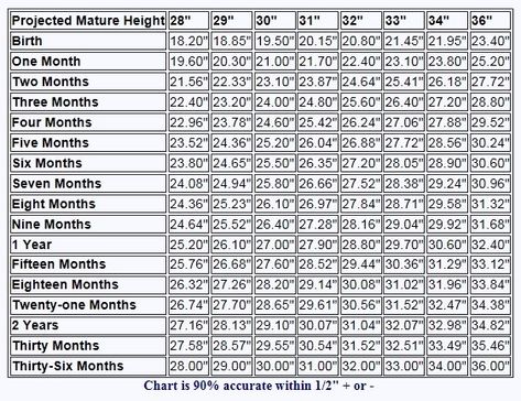 Height Chart for Miniature Horses & A New Book! | Horse Height Chart, Horse Ownership, Miniature Horses, Height Chart, Miniature Horse, How To Grow Taller, Horseback Riding, Stuff To Do, New Books