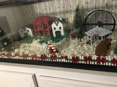 Christmas hamster cage Themed Hamster Enclosure, Halloween Hamster Cage Theme, Hamster Christmas Diy, Hamster Cage Christmas Decor, Christmas Hamster Cage, Christmas Rat Cage, Hamster Christmas, Christmas Hamster, Cool Hamster Cages