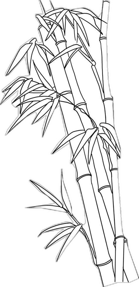 Bamboo Drawing, Minimalistic Tattoo Ideas, Tato Maori, Minimalistic Tattoo, Japanese Plants, Bamboo Tattoo, Fabric Painting On Clothes, Japanese Drawings, Flower Drawing Design