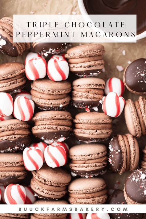 Peppermint Macarons, Peppermint Ganache, Crushed Peppermint, Christmas Macarons, Macaron Filling, Christmas Cookie Box, Peppermint Candies, Chocolate Macaron, Caramel Mocha