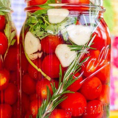 Pickled cherry tomatoes taste like pizza because they're made with minced garlic, oregano, salt! Store in refrigerator or can. Great for lots of tomatoes! Refrigerator Pickled Tomatoes, Canned Pickled Tomatoes, Refrigerator Pickled Cherry Tomatoes, Cherry Tomato Pickles, Cherry Tomatoes Pickled, Pickled Cherry Tomatoes Canned, Pickle Cherry Tomatoes, Tomato Preserves Canning Recipes, Preserved Cherry Tomatoes