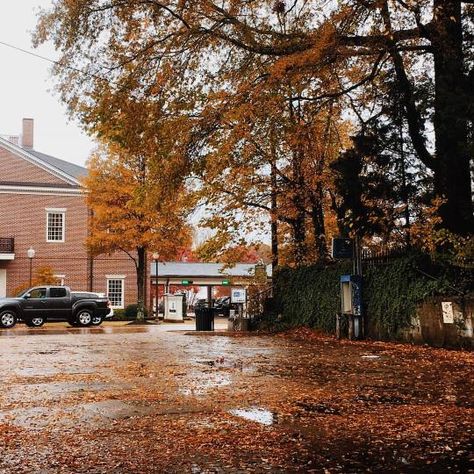 Mississippi Aesthetic, Oxford Mississippi, Northern Indiana, Fall Days, Fall Feels, Coffee Enthusiast, Autumn Cozy, Autumn Aesthetic, Lombok