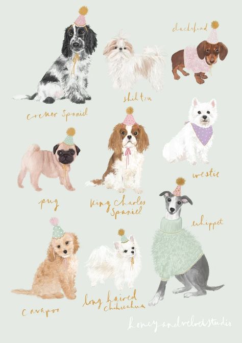 Dog Breed Illustration, Dog Christmas Card Illustration, Dog Breeds Illustration, Cavapoo Illustration, Cats And Dogs Illustration, Whippet Illustration, Whippet Drawing, Dog Art Illustration, Chihuahua Illustration