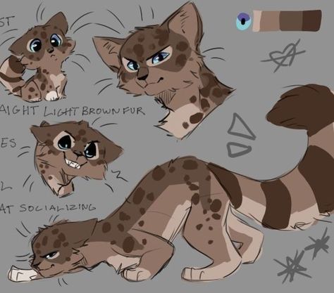 Brown Warrior Cat Oc, Free Warrior Cat Oc, Worrier Cats Oc, Warrior Cats Reference, Cat Oc Ideas, Warrior Cats Morph Ideas, Cat Poses, Cat Drawing Tutorial, Warrior Cats Books