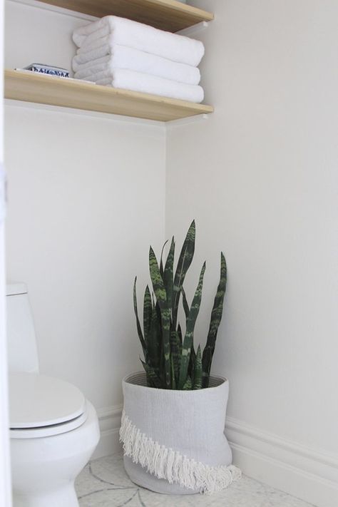 Best Plants For Bathrooms | POPSUGAR Home Plants For Bathroom, Plant Bathroom, Room Mirror Ideas, Vintage Plants, Black And White Tiles Bathroom, Room Vanity Ideas, Farmhouse Bathroom Remodel, Farmhouse Bathroom Design, Farmhouse Bathroom Decor Ideas