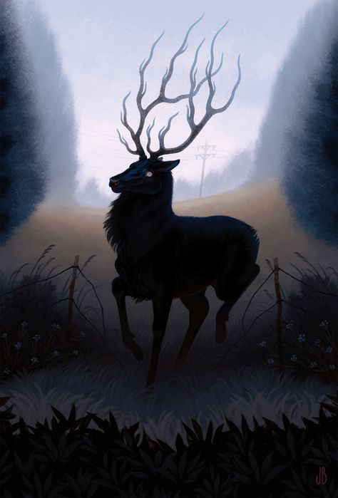 haunted by animals: Caught against the broken fence, a strand of ash... Jenna Barton, A Deer, In The Woods, Deer, Ash, Trees, Forest, Art