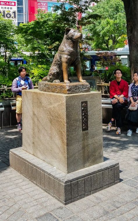 Shibuya Crossing Photoshoot, Hachiko Dog, Japan Shibuya Crossing Aesthetic, Shibuya Tokyo Japan, Shibuya Sky Tokyo, Akihabara Tokyo, Shibuya Crossing Instagram, Hachiko Statue, Shibuya Tokyo