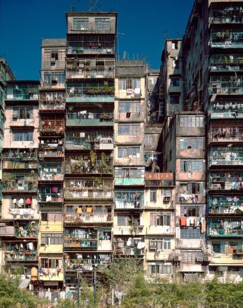 The Architecture of Kowloon Walled City: An Excerpt from ‘City of Darkness Revisited’ Kowloon Walled City, Vertical City, Walled City, Urban Architecture, Future City, Urban Life, City Buildings, City Aesthetic, Urban Jungle