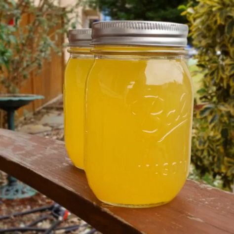 Canning Meyer Lemonade Concentrate – Gazing In Canned Lemonade Concentrate, Canning Lemon Juice, Canning Lemonade Concentrate, Canning Drinks, Canning Lemons, Canning Juice, Lemon Concentrate, Lost Skills, Freezing Recipes