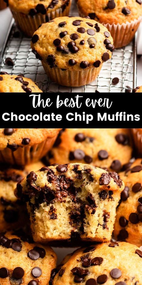 These bakery style chocolate chip muffins are moist and fluffy, have a perfect domed top, and are filled with plenty of melty chocolate chips. Best Chocolate Chip Muffins, Chocolate Chip Muffins Easy, Choc Chip Muffins, Breakfast Chocolate, Muffins Breakfast, Chocolate Chip Muffin Recipe, Moist Muffins, Best Chocolate Chip, Banana Chocolate Chip Muffins