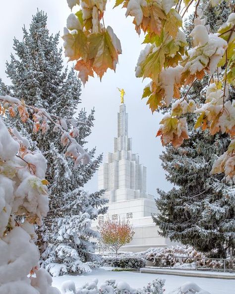 Rexburg Temple, Lds Hymns, Lds Artwork, Idaho Falls Temple, Lds Temple Pictures, Temple Square, Temple Photography, Temple Pictures, Church Pictures