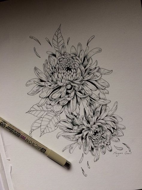 Chrysanthemum Half Sleeve Tattoo, Chrisantemum Flower Tattoo Design, Big Chrysanthemum Tattoo, Cursanthamum Flower Tattoo, Black And Grey Chrysanthemum Tattoo, Christanthium Flower Tattoo, Black And White Chrysanthemum Tattoo, Birth Flower Tattoos Flat Lay, Tattoo Ideas Chrysanthemums