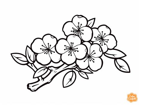 illustration of Beautiful cherry blossom Cherry Blossom Tree Sketch, Cherry Blossom Coloring Page, Blossom Drawing, Cherry Blossom Drawing, Flowers Coloring Pages, Mandala Turtle, Child Activities, Painting On Clothes, Flowers Coloring