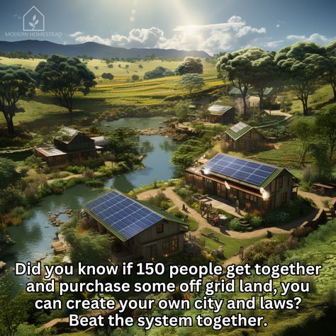 Well, when you put it that way... 🤩 Who would join us? #modernhomestead #homestead #offgrid #offgridliving #offgridcommunity #freedom Multi Generational Homestead, Off Grid Homestead Aesthetic, Modern Homestead Aesthetic, Community Homestead, Offgrid Homesteading, Homestead Community, Commune Living, Mountain Homestead, Farming Village