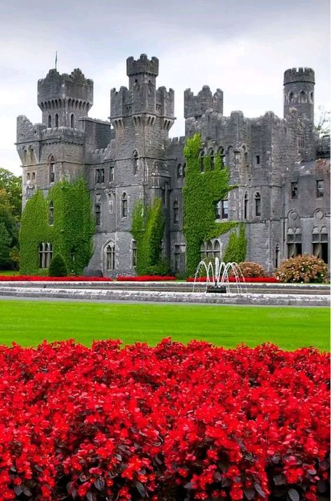 Cong Ireland, Ashford Castle, Irish Castles, Ireland Landscape, Castle House, Castle Ruins, Fantasy Castle, Beautiful Castles, A Castle