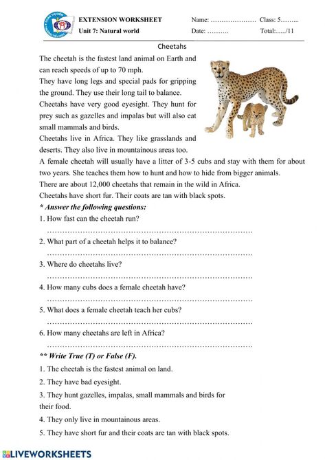 Report Text, Free Reading Comprehension Worksheets, Basic English Grammar Book, Reading Comprehension Texts, English Grammar Exercises, Reading Comprehension For Kids, English Lesson Plans, Reading Assessment, English Grammar Book