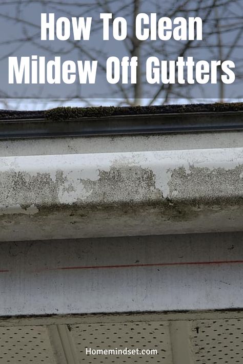 Want to know how to clean mildew off gutters? Well give you a step-by-step guide that you never want to miss. Cleaning Siding On House Diy, Gutter Cleaning Hacks, How To Clean Gutters, Clean Siding, Cleaning Vinyl Siding, Pressure Washer Tips, Driveway Resurfacing, How To Clean Aluminum, Diy Gutters