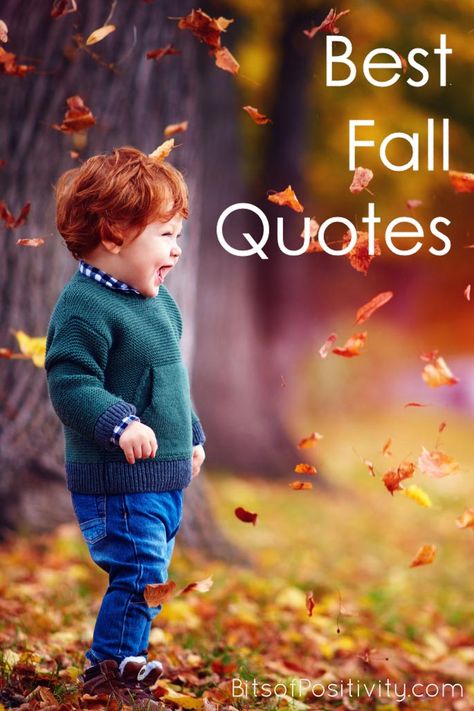 Favorite fall quotes along with other inspiration and resources for fall - Bits of Positivity #fall #quotes #fallquotes #autumn #autumnquotes Ready For Fall Quotes, Fall Family Quotes, Happy Fall Quotes, Fall Quotes And Sayings, Fall Season Quotes, Sarah Addison Allen, Family Time Quotes, Cobbler Crust, World Where There Are Octobers