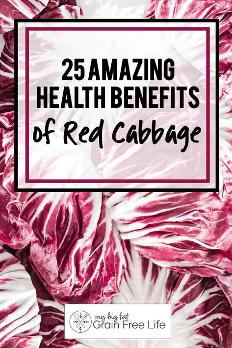 25 Amazing Health Benefits of Red Cabbage Red Cabbage Benefits, Benefits Of Red Cabbage, Cabbage Juice Benefits, Banana Peel Tea, Cabbage Smoothie, Sauteed Red Cabbage, Cooked Red Cabbage, Cabbage Health Benefits, Cabbage Diet