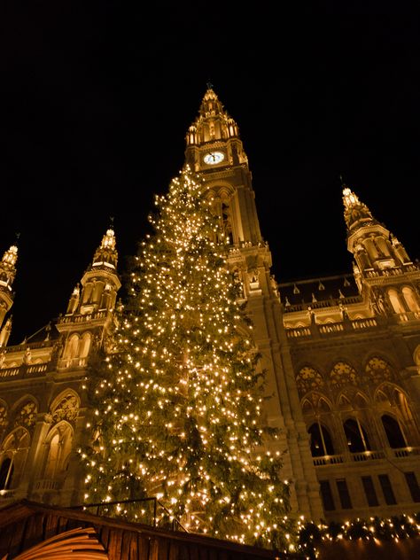 #vienna #rathaus #christmasmarket #christmas #christmasaesthetic #winter Christmas Trees Aesthetic, Winter Snow Aesthetic, Switzerland Christmas, Switzerland Winter, Aesthetic Lights, Trees Aesthetic, Vienna Christmas, Snow Aesthetic, Christmas Apps