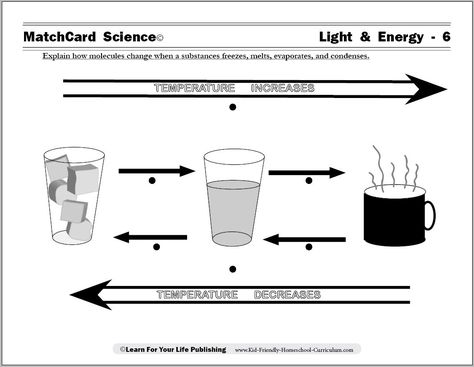 The circular display helps students grasp the correlaton between melting and freezing; condensing and evaporizing. Evaporation Experiment, Evaporation And Condensation, Science Unit Studies, Science Display, Student Worksheet, Science Stem, Sight Words Kindergarten, Science Units, Following Directions