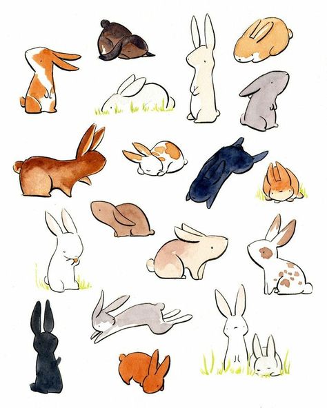 Drawing Inspo Animals, Animal Studies, 강아지 그림, My Animal, Bunny Art, Arte Inspo, Drawing Inspo, Animal Sketches, Cute Animal Drawings