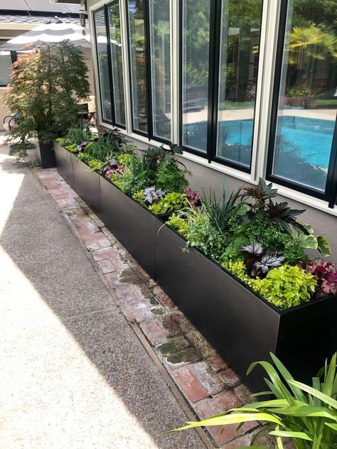 Rectangle Planters Outdoor, Large Rectangular Planters Outdoor, Tall Rectangle Planters Outdoor, Plants In Rectangular Planters, Tall Rectangular Planters Outdoor, Rectangular Flower Pot, Terrace House Garden, Terraced Landscaping, Outdoor Planter Boxes