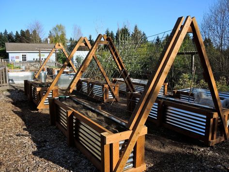 Raised Bed Garden Design, Metal Raised Garden Beds, Vertical Vegetable Garden, Building A Raised Garden, Garden Vines, Veg Garden, Vegetable Garden Design, Raised Bed, Food Garden