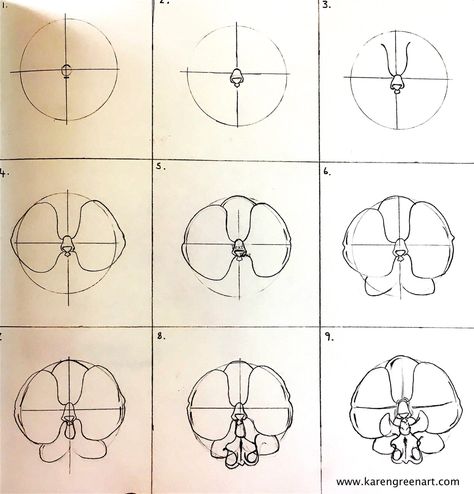 Drawing Of Orchids Flower, Phalaenopsis Orchid Drawing, Draw Orchid Step By Step, Orkid Flower Drawing Easy, Orchid Aesthetic Drawing, Orchid Bouquet Drawing, Orchid Drawing Tutorial, Orchid Drawing Simple Easy, Orchid Art Drawing