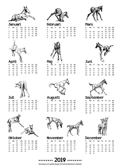 Horse Calendar 2019 Horse Journal Ideas, Horse Bookmarks Printable Free, 2025 F1 Calendar, Animal Calendar Design, Horse Calendar, Horse Pattern, Diary Ideas, Ink Drawing, Horses