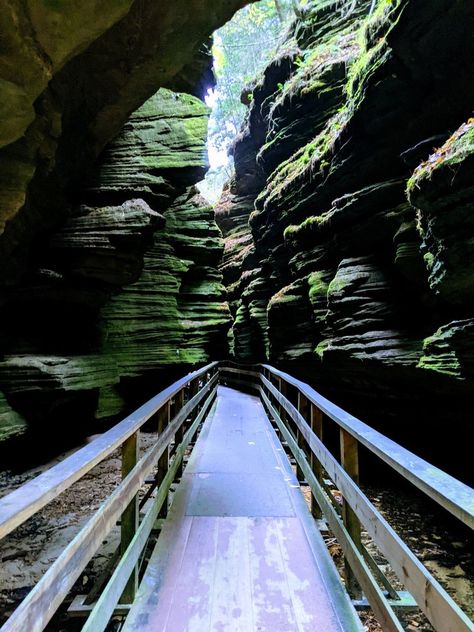 Witches Gulch is a walk through a narrow canyon carved by wind and water and filled with fern glens, shadowy passages and hidden whirlpool chambers. Witches Gulch, Road Trip Map, Road Trip Planner, Wisconsin Travel, Wisconsin Dells, Family Trip, Booking Hotel, Travel Planner, Another World