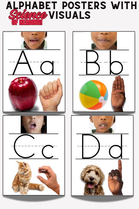 📚 Transform reading lessons with our Science of Reading Alphabet Posters! Featuring real student photos, these posters bring letters to life and support phonics instruction. Ideal for early literacy, each poster visually connects letters with familiar faces, making learning engaging and effective. Perfect for classrooms and learning centers, these posters are a fantastic tool for building foundational reading skills! Student Pictures, Phonics Resources, Student Picture, Student Photo, Alphabet Posters, Asl Signs, Phonics Instruction, Science Of Reading, Open Board