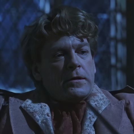 Kenneth Branagh Harry Potter, Lockhart Harry Potter, Harry Potter Chamber Of Secrets, Gilderoy Lockhart, Kenneth Branagh, Chamber Of Secrets, Ravenclaw, Hogwarts, Harry Potter